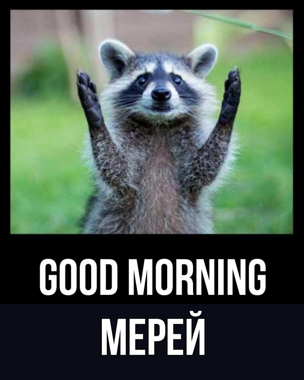 Greetings card с именем, МЕРЕЙ Good morning хорошее настроение утречком Greetings with text for free download 