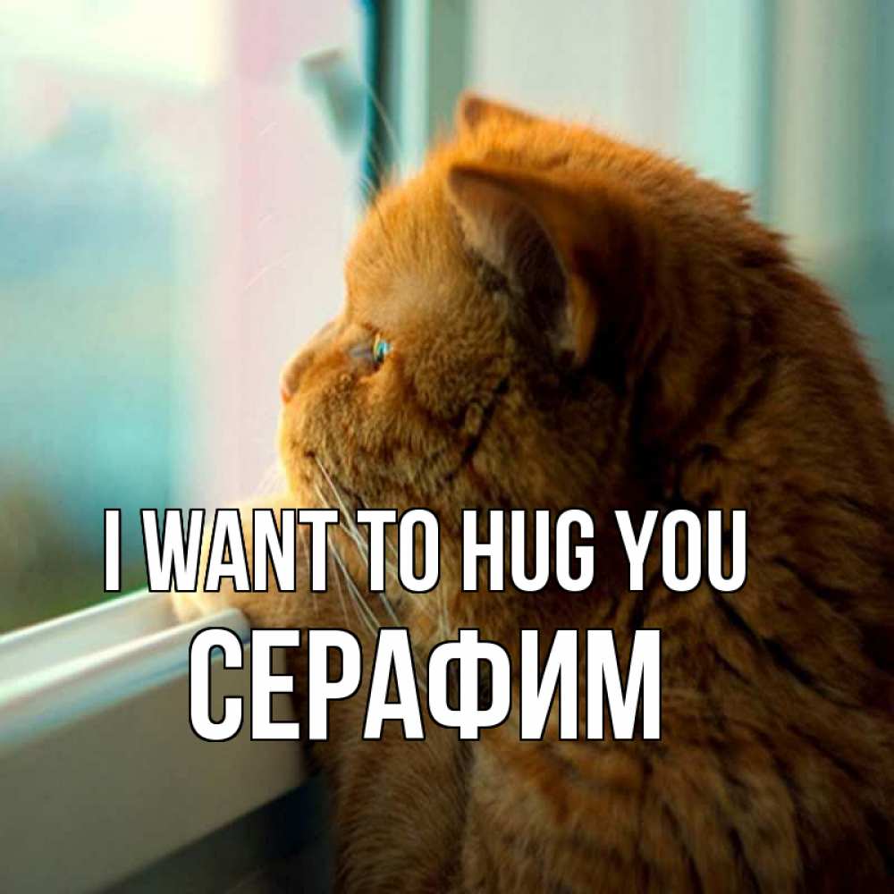 Greetings card с именем, Серафим I want to hug you большой огромный рыжий котяра Greetings with text for free download 