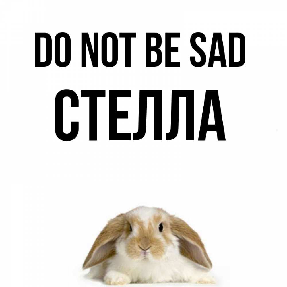 Greetings card с именем, Стелла Do not be sad коричнево белый заяц с большими ушками Greetings with text for free download 