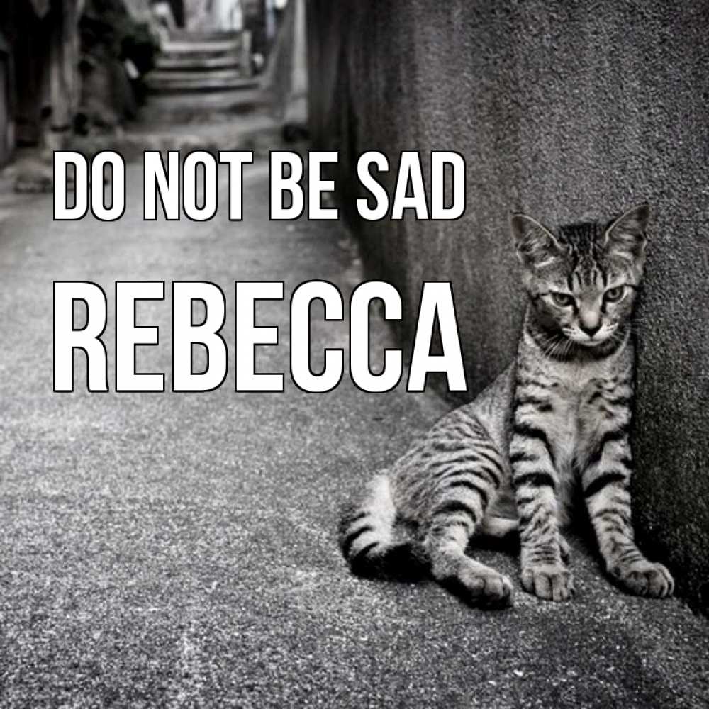 Greetings card с именем, Rebecca Do not be sad скучающий котик Greetings with text for free download 