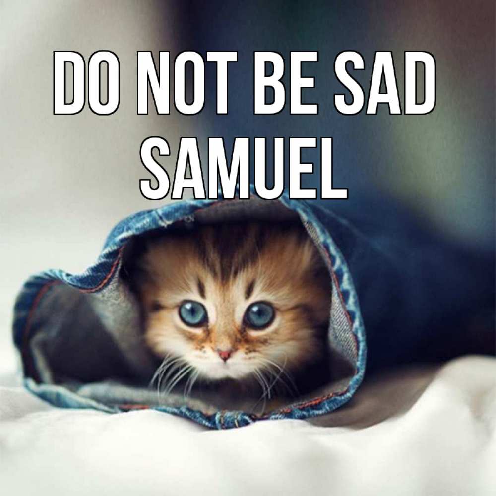 Greetings card с именем, Samuel Do not be sad кот в одежде Greetings with text for free download 