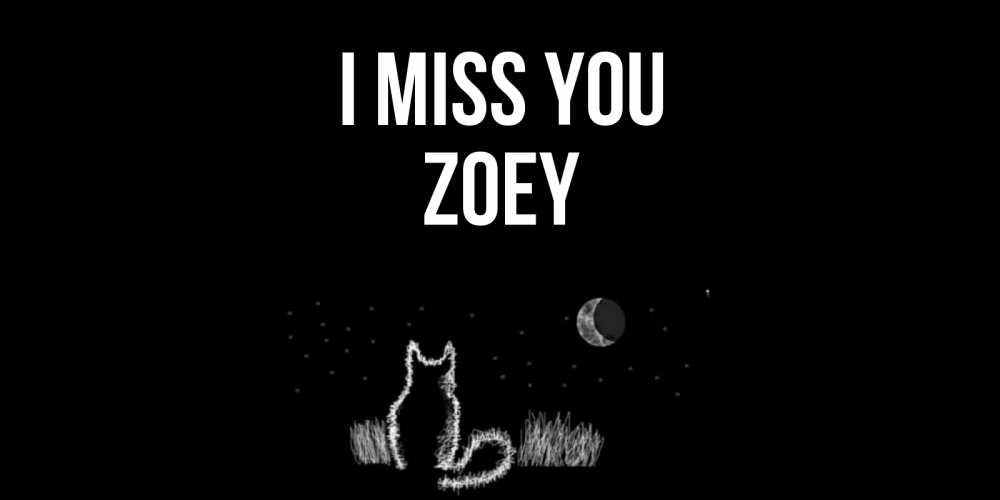 Greetings card с именем, Zoey I miss you кот Greetings with text for free download 
