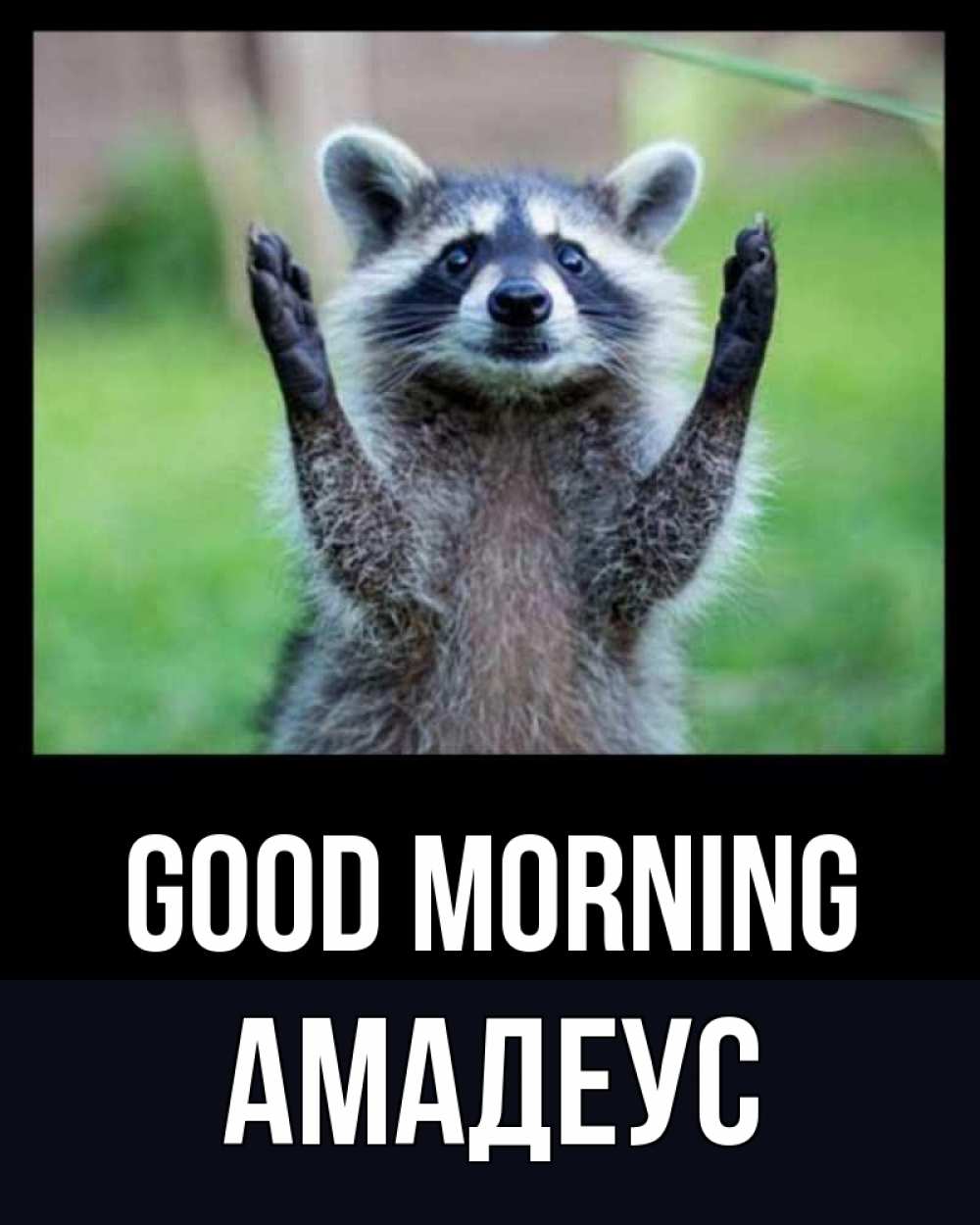 Greetings card с именем, Амадеус Good morning хорошее настроение утречком Greetings with text for free download 