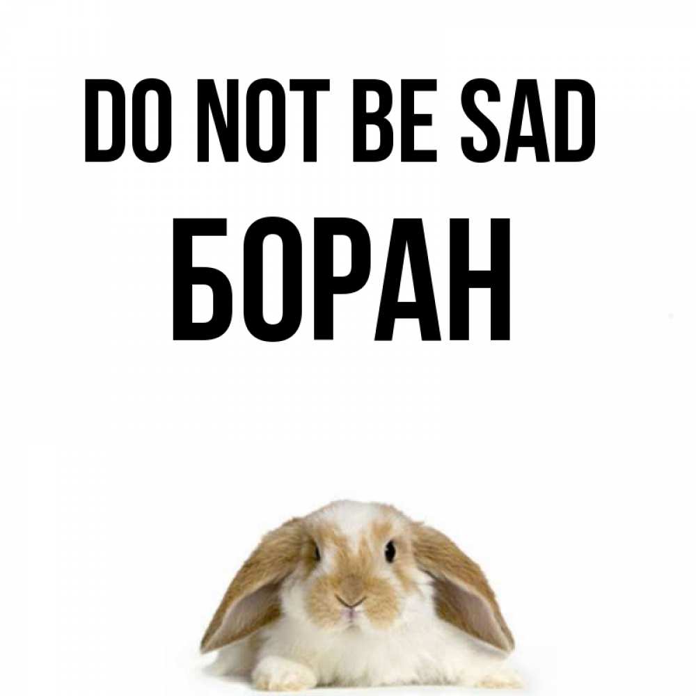 Greetings card с именем, Боран Do not be sad коричнево белый заяц с большими ушками Greetings with text for free download 