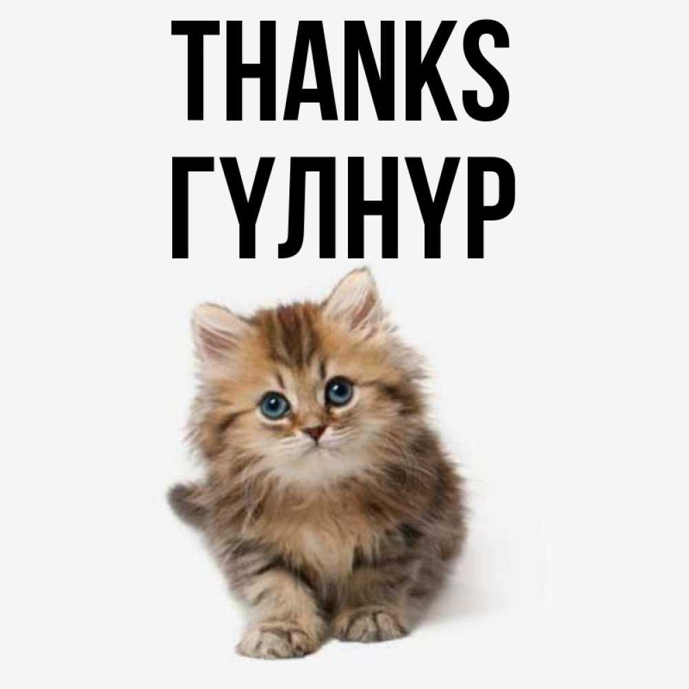 Greetings card с именем, ГҮЛНҮР Thanks пушистый котик Greetings with text for free download 
