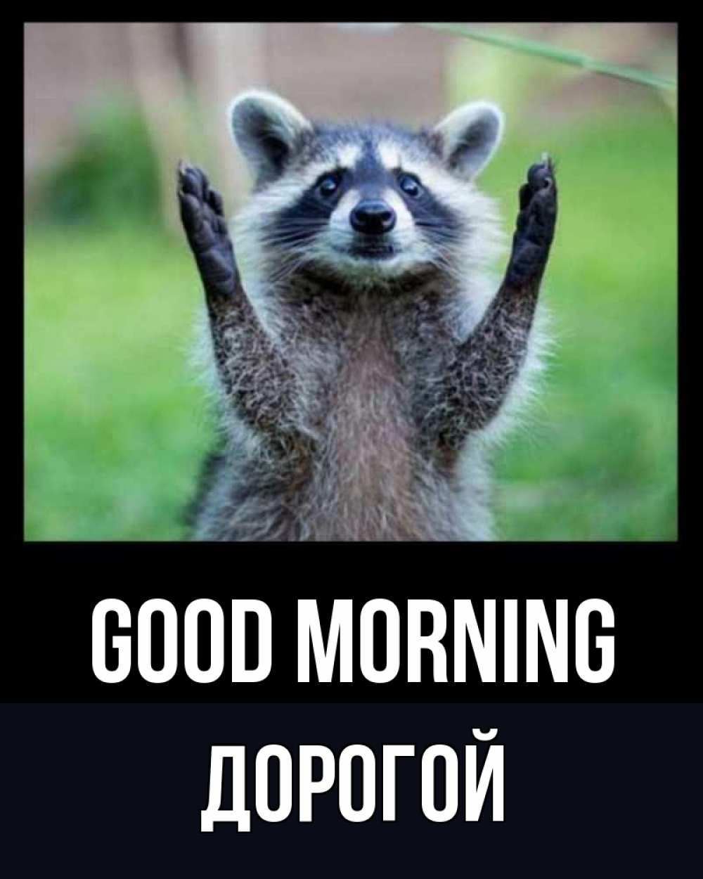 Greetings card с именем, Дорогой Good morning хорошее настроение утречком Greetings with text for free download 