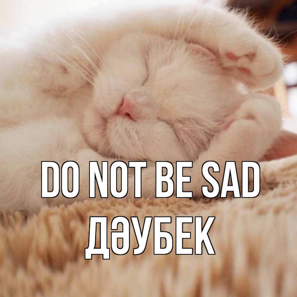 Greetings card с именем, Дәубек Do not be sad белый кот Greetings with text for free download 