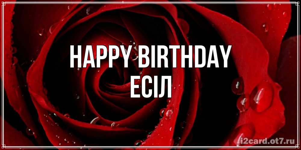 Greetings card с именем, Есіл Happy Birthday крупная бордовая роза Greetings with text for free download 