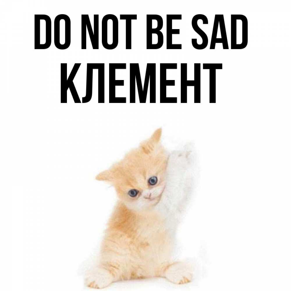 Greetings card с именем, Клемент Do not be sad просящий кот Greetings with text for free download 
