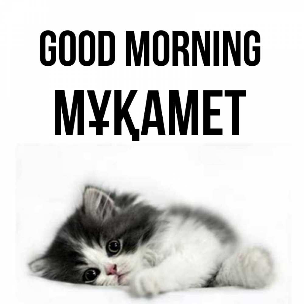 Greetings card с именем, МҰҚАМЕТ Good morning кот лапки Greetings with text for free download 