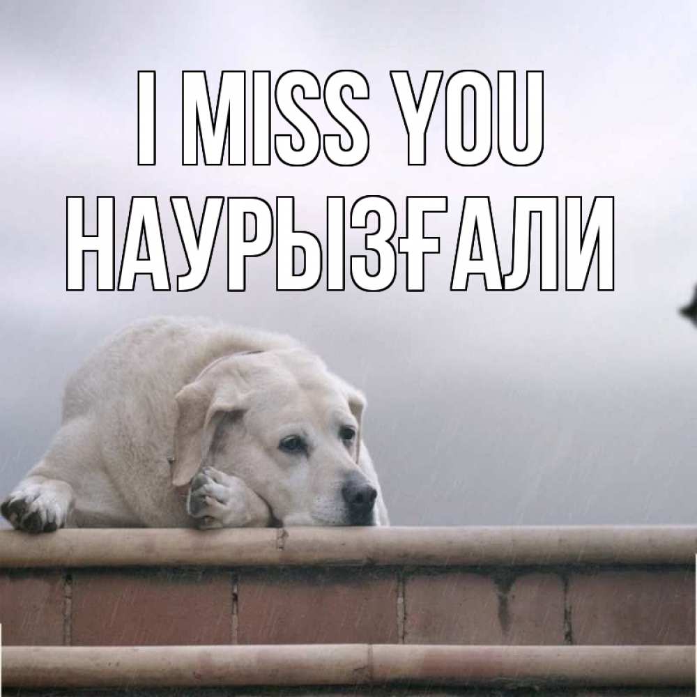 Greetings card с именем, Наурызғали I miss you ждет Greetings with text for free download 