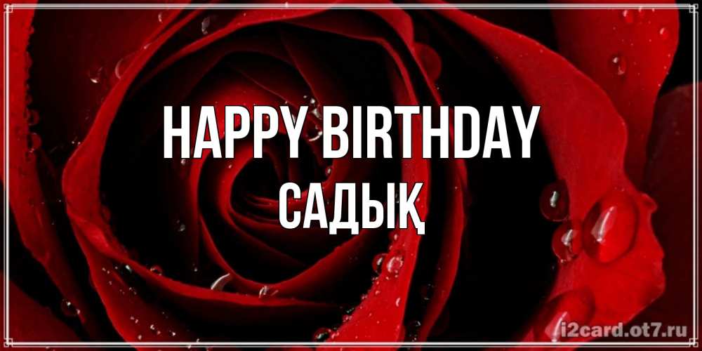 Greetings card с именем, САДЫҚ Happy Birthday крупная бордовая роза Greetings with text for free download 