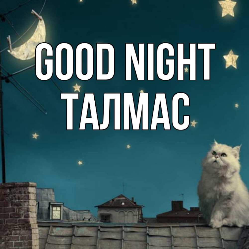 Greetings card с именем, ТАЛМАС Good night белый кот сидит на крыше Greetings with text for free download 
