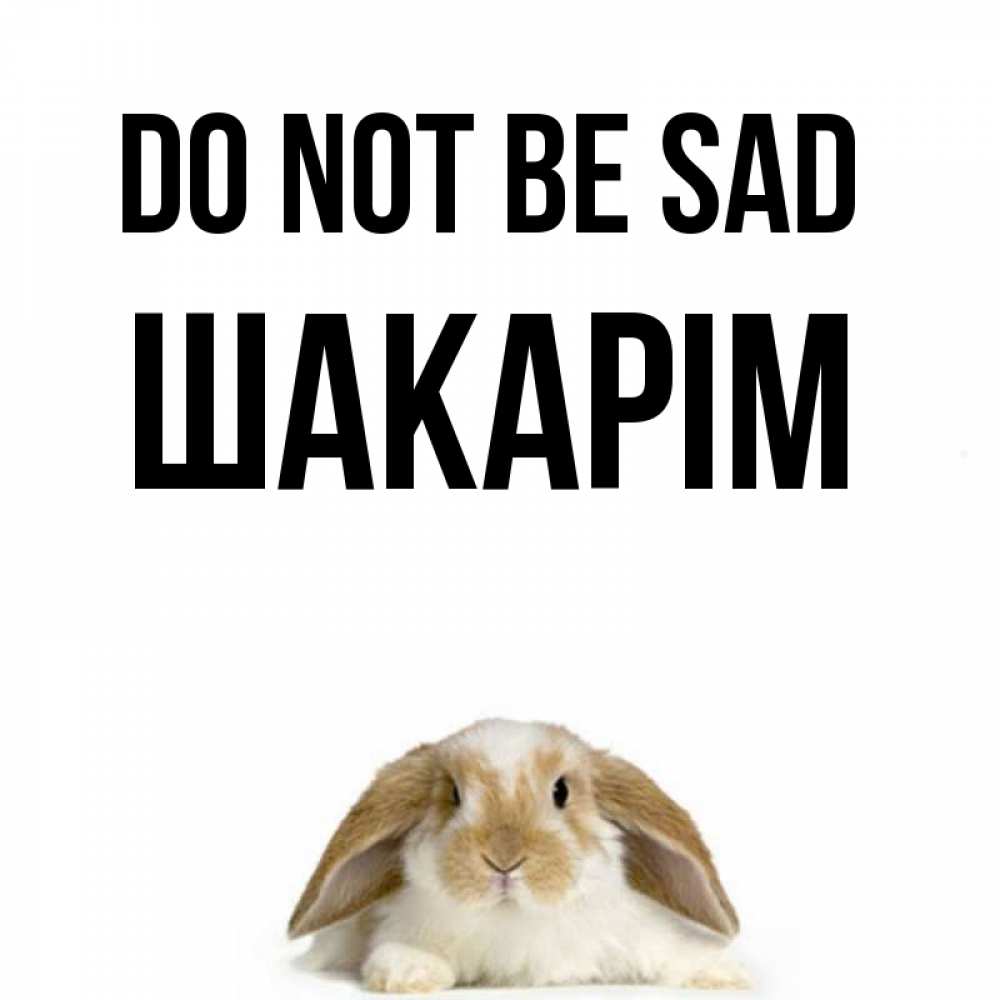 Greetings card с именем, ШАКАРІМ Do not be sad коричнево белый заяц с большими ушками Greetings with text for free download 