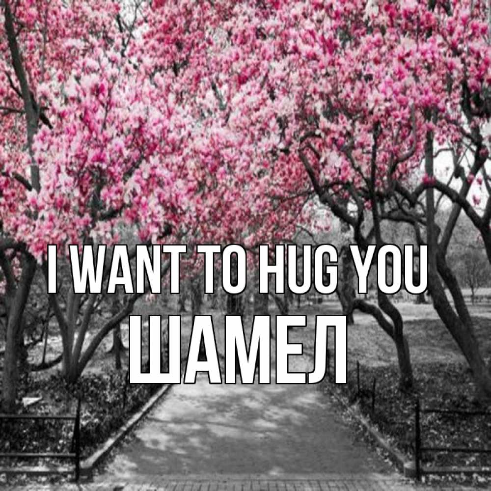 Greetings card с именем, ШАМЕЛ I want to hug you обработанное фото Greetings with text for free download 