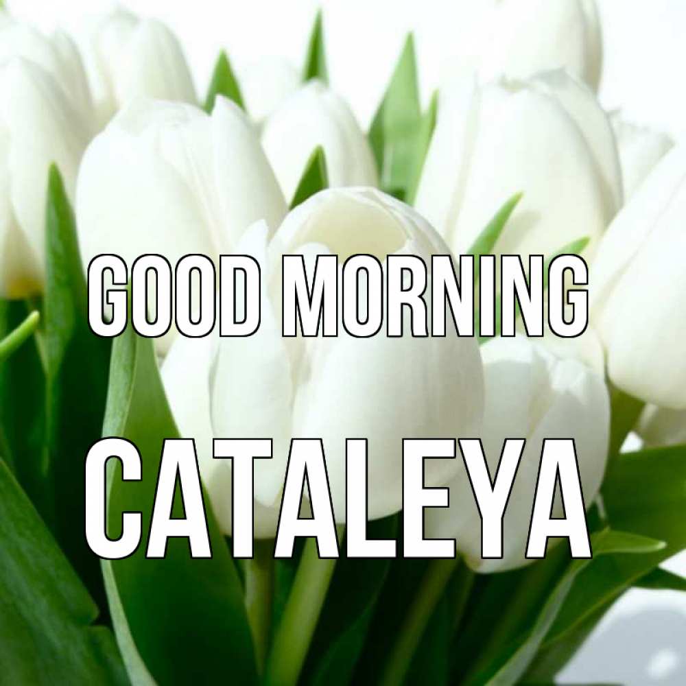 Greetings card с именем, Cataleya Good morning открытки на каждый день по именам Greetings with text for free download 