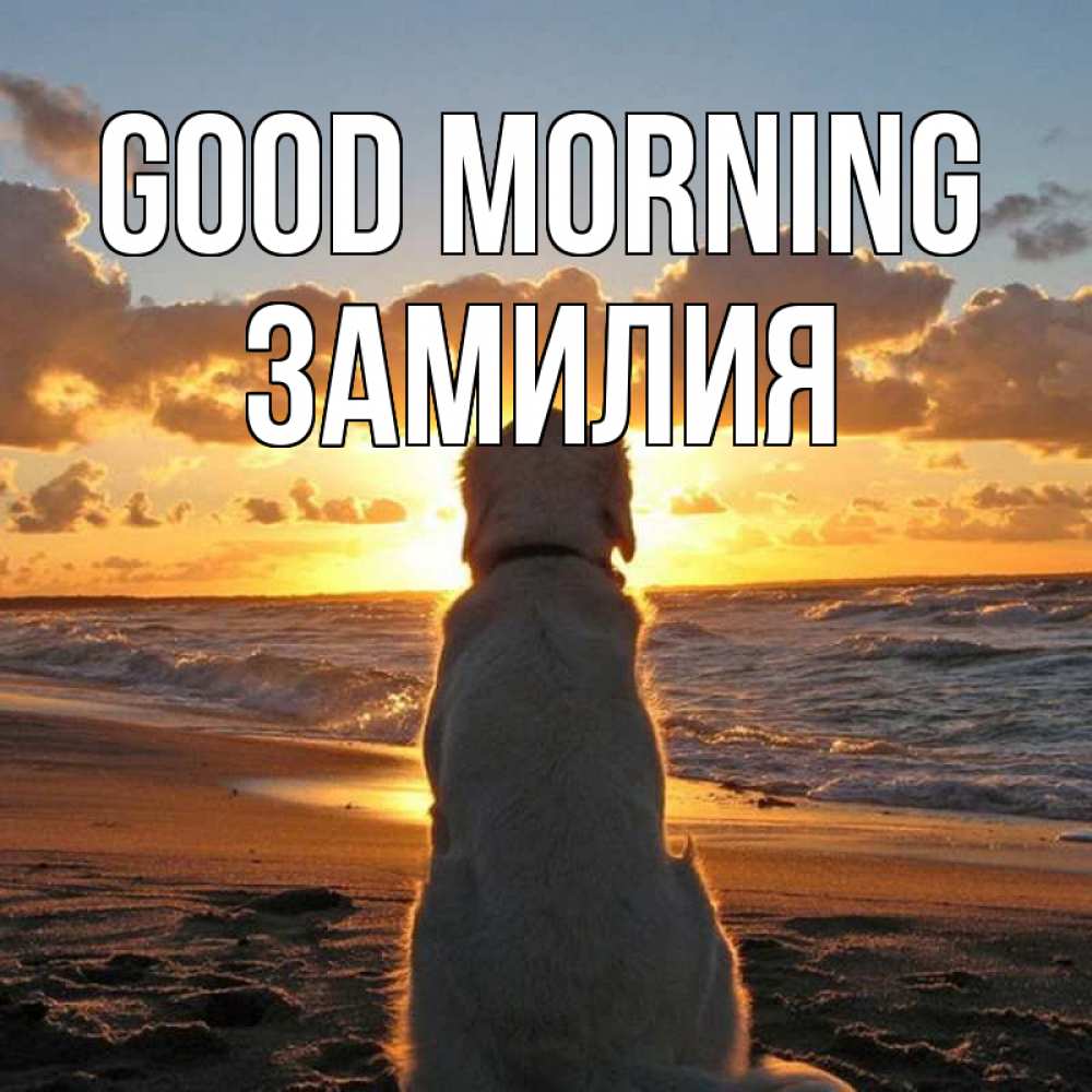 Greetings card с именем, ЗАМИЛИЯ Good morning восход солнца Greetings with text for free download 