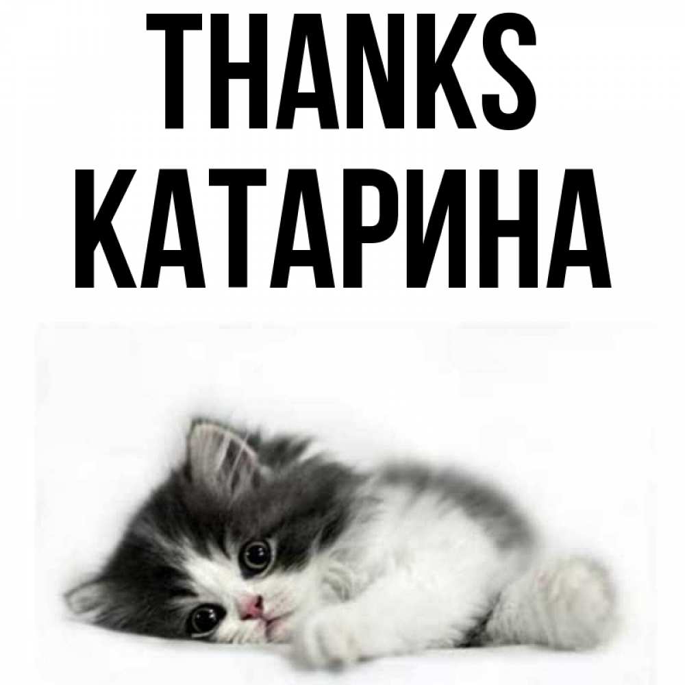 Greetings card с именем, Катарина Thanks черный и белый кот Greetings with text for free download 