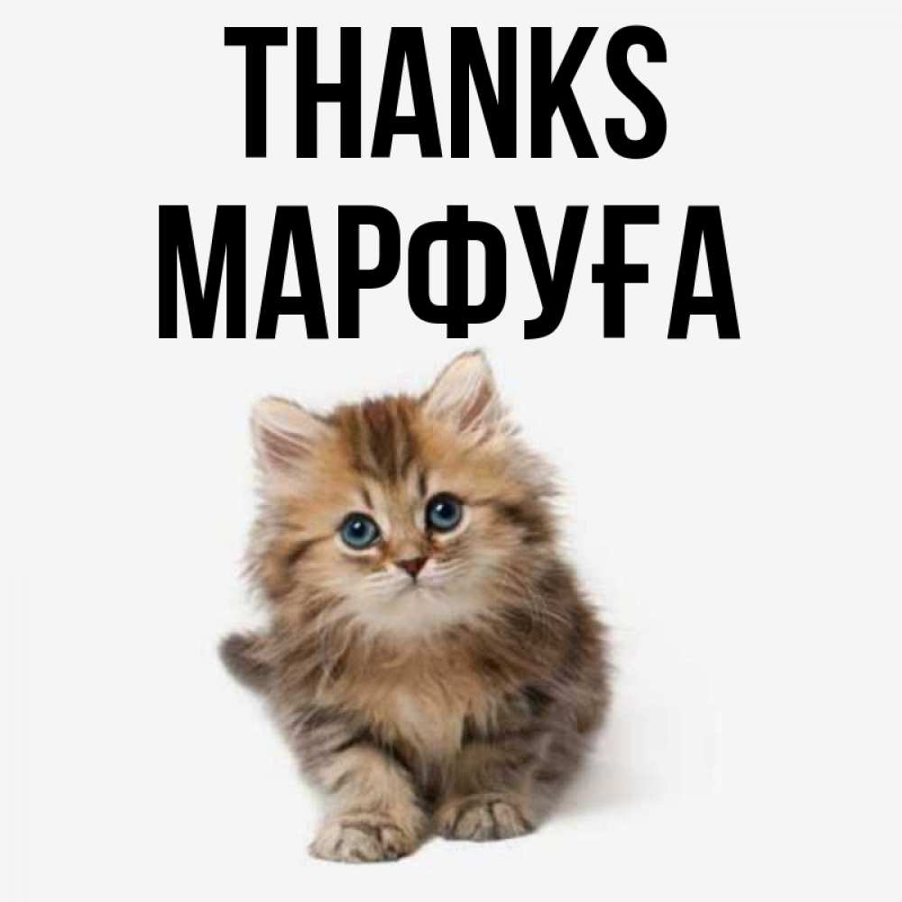 Greetings card с именем, МАРФУҒА Thanks пушистый котик Greetings with text for free download 