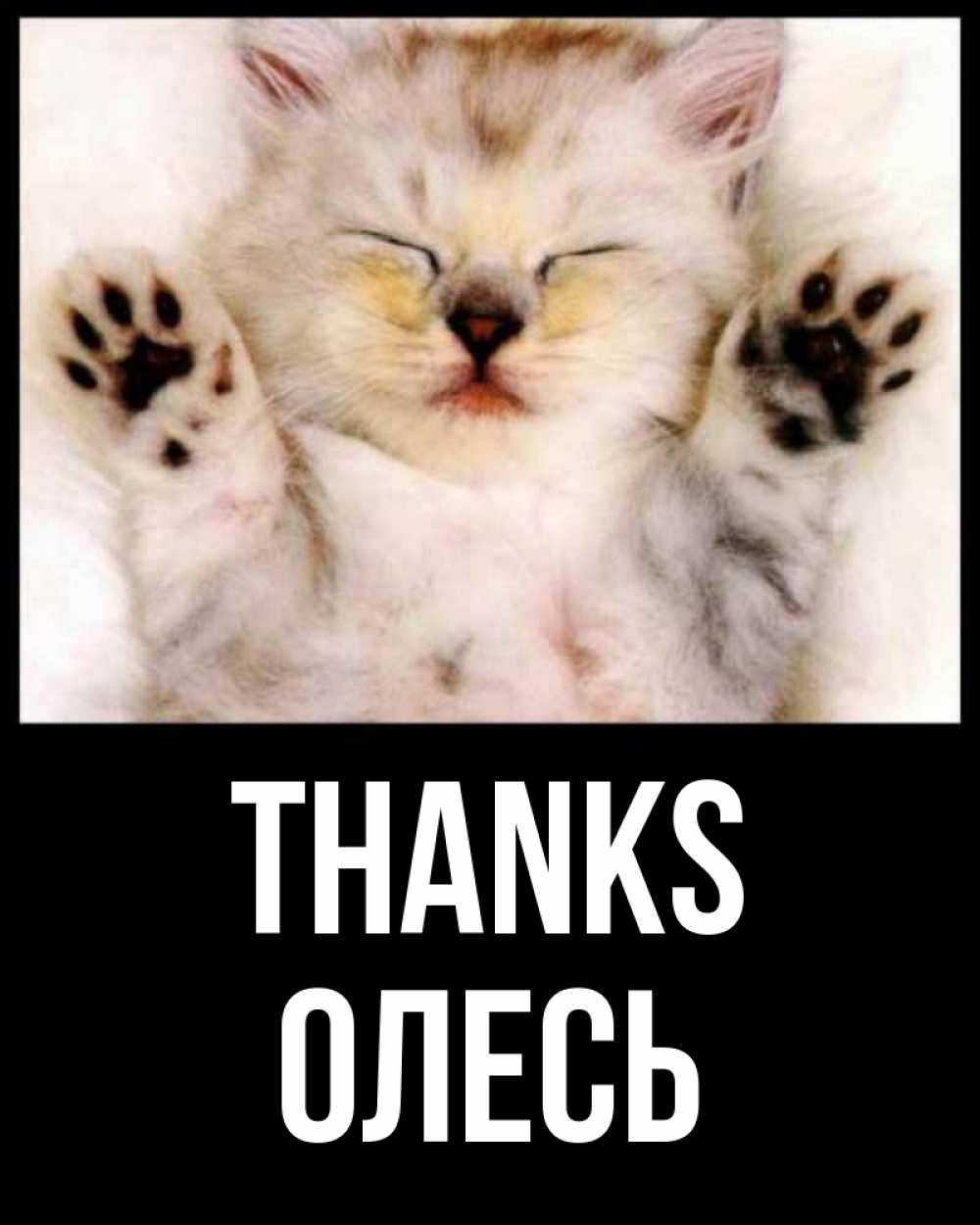 Greetings card с именем, Олесь Thanks маленький котенок Greetings with text for free download 