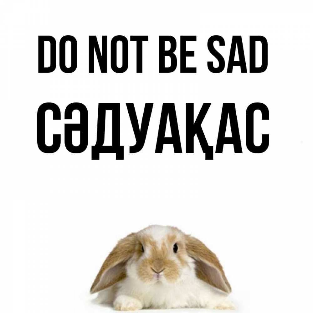 Greetings card с именем, СӘДУАҚАС Do not be sad коричнево белый заяц с большими ушками Greetings with text for free download 