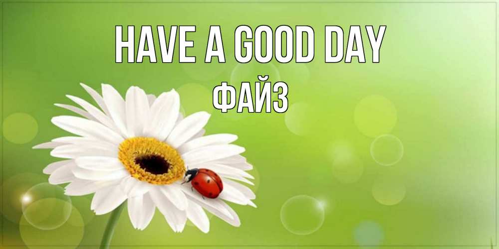 Greetings card с именем, ФАЙЗ Have a good day зеленый фон и ромашка Greetings with text for free download 
