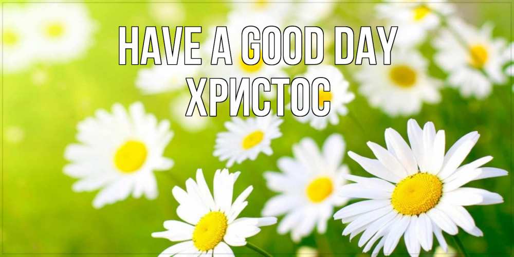 Greetings card с именем, Христос Have a good day открытка с ромашками на зеленом фоне Greetings with text for free download 