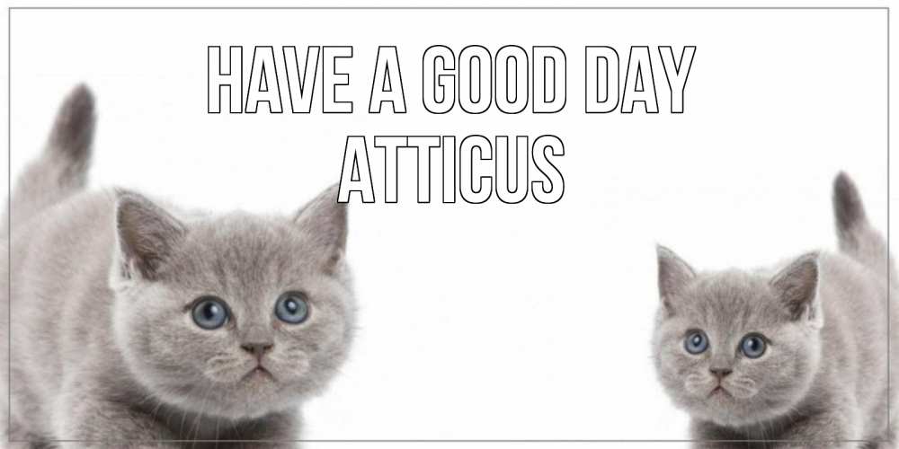 Greetings card с именем, Atticus Have a good day открытка с котами Greetings with text for free download 
