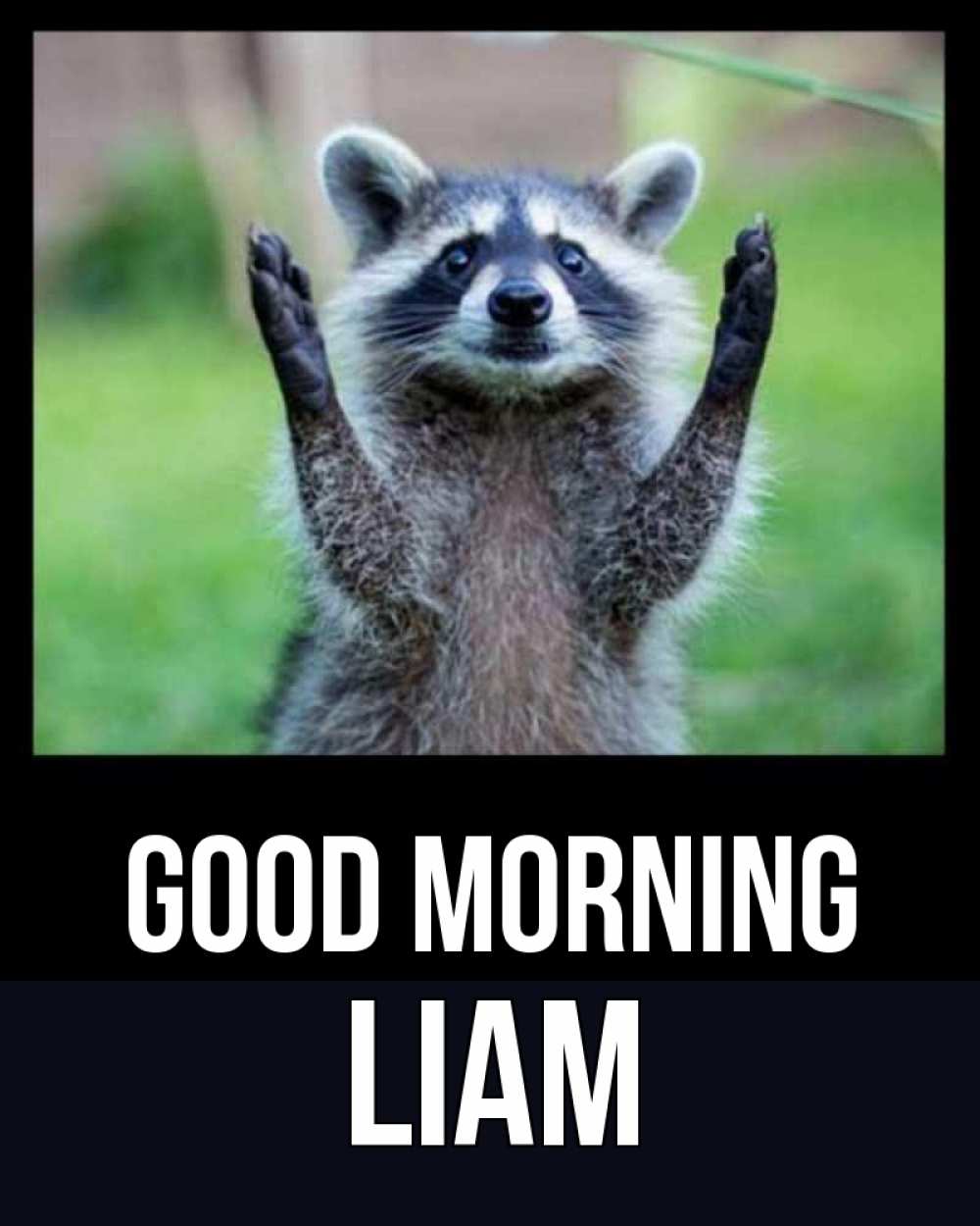 Greetings card с именем, Liam Good morning хорошее настроение утречком Greetings with text for free download 
