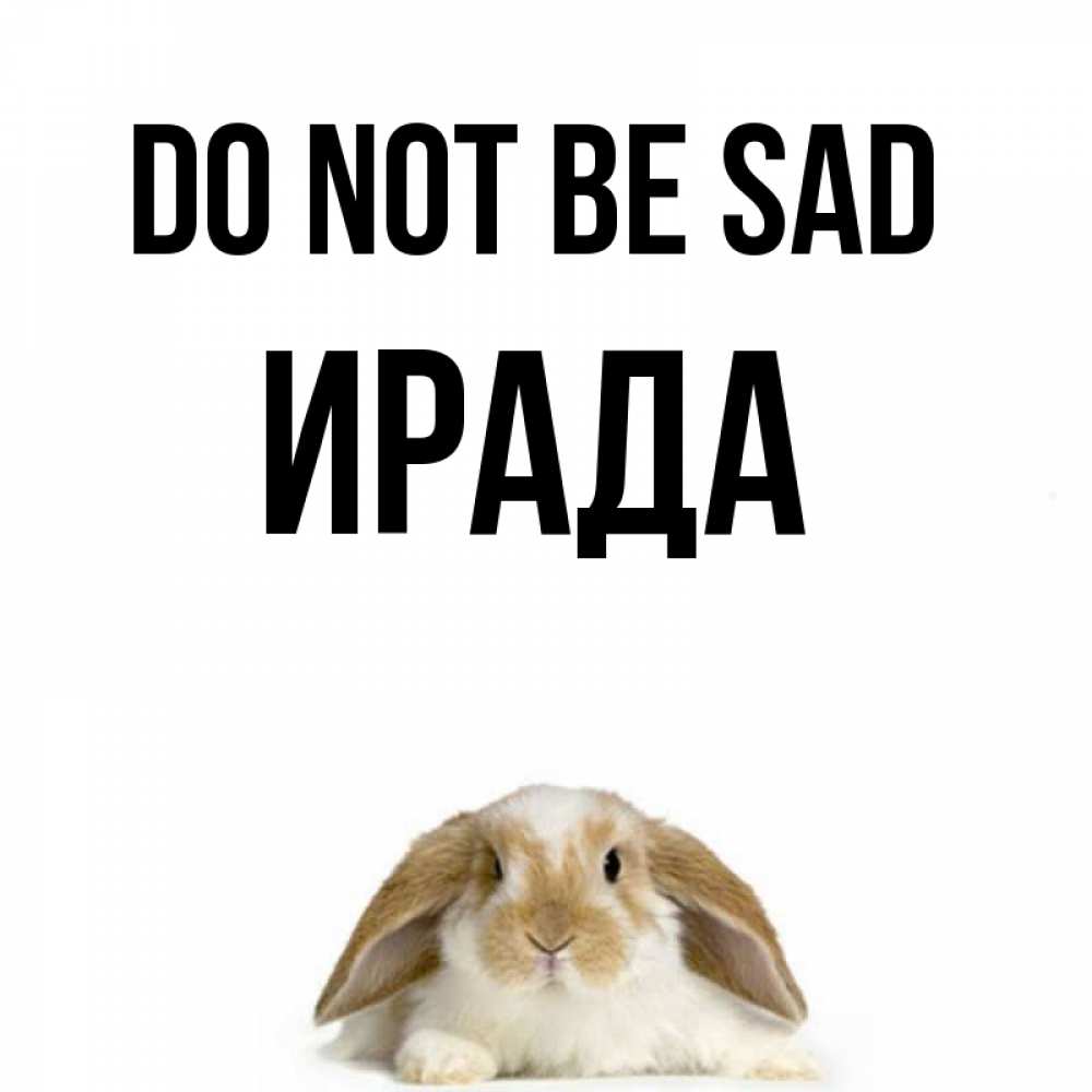 Greetings card с именем, ИРАДА Do not be sad коричнево белый заяц с большими ушками Greetings with text for free download 