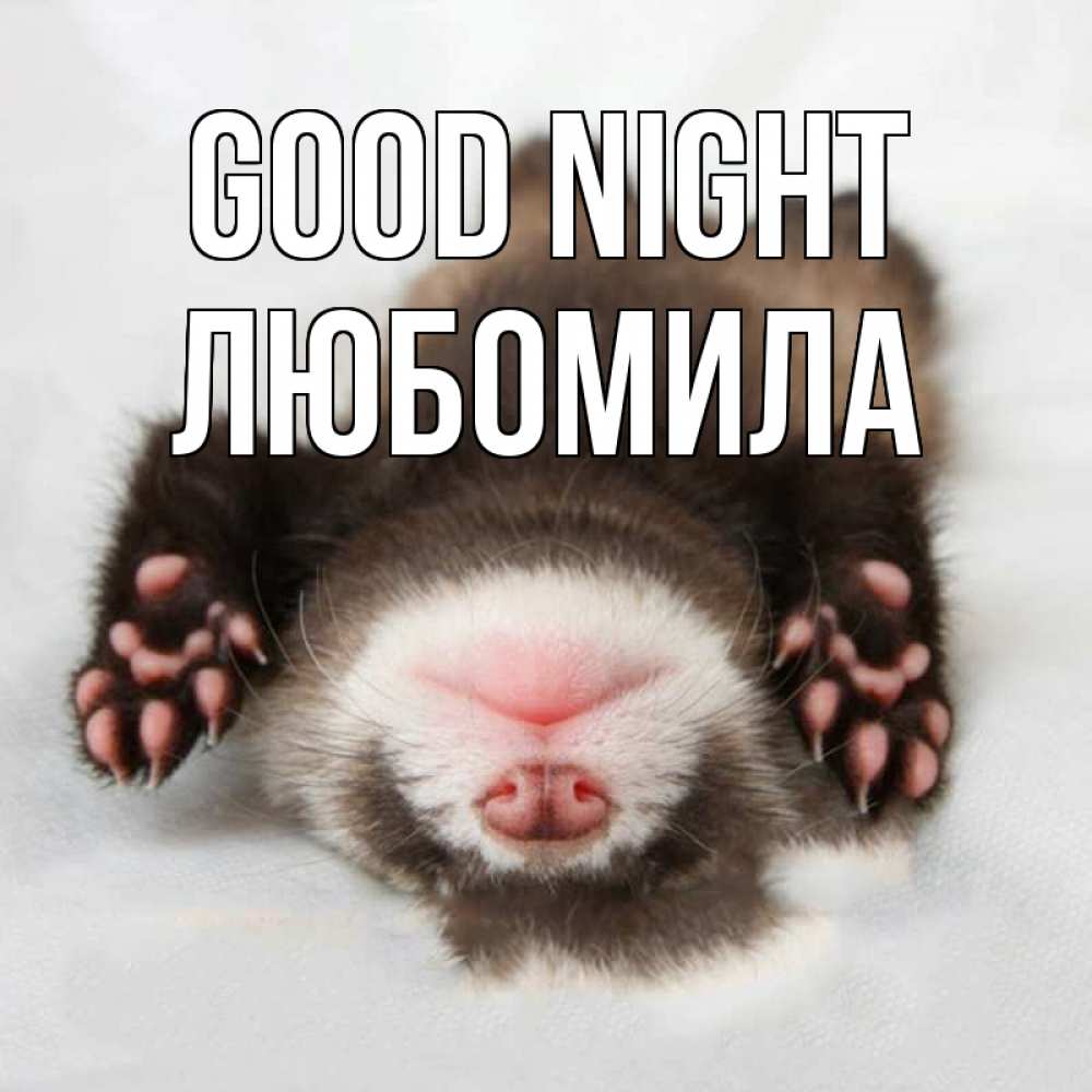 Greetings card с именем, Любомила Good night зверек Greetings with text for free download 