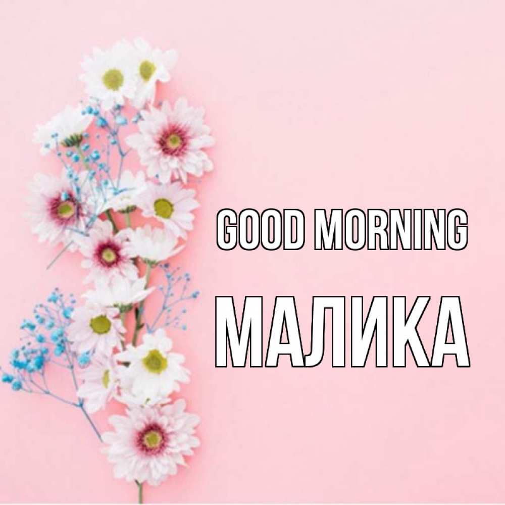 Greetings card с именем, Малика Good morning цветы с подписью Greetings with text for free download 