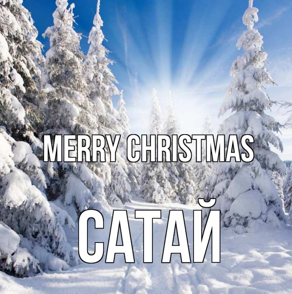 Greetings card с именем, САТАЙ Merry Christmas зима, лес Greetings with text for free download 