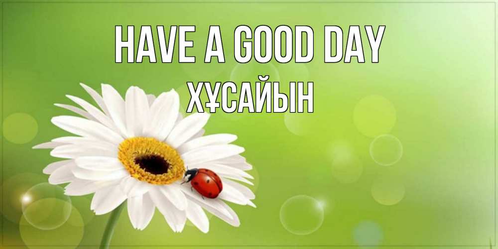 Greetings card с именем, ХҰСАЙЫН Have a good day зеленый фон и ромашка Greetings with text for free download 
