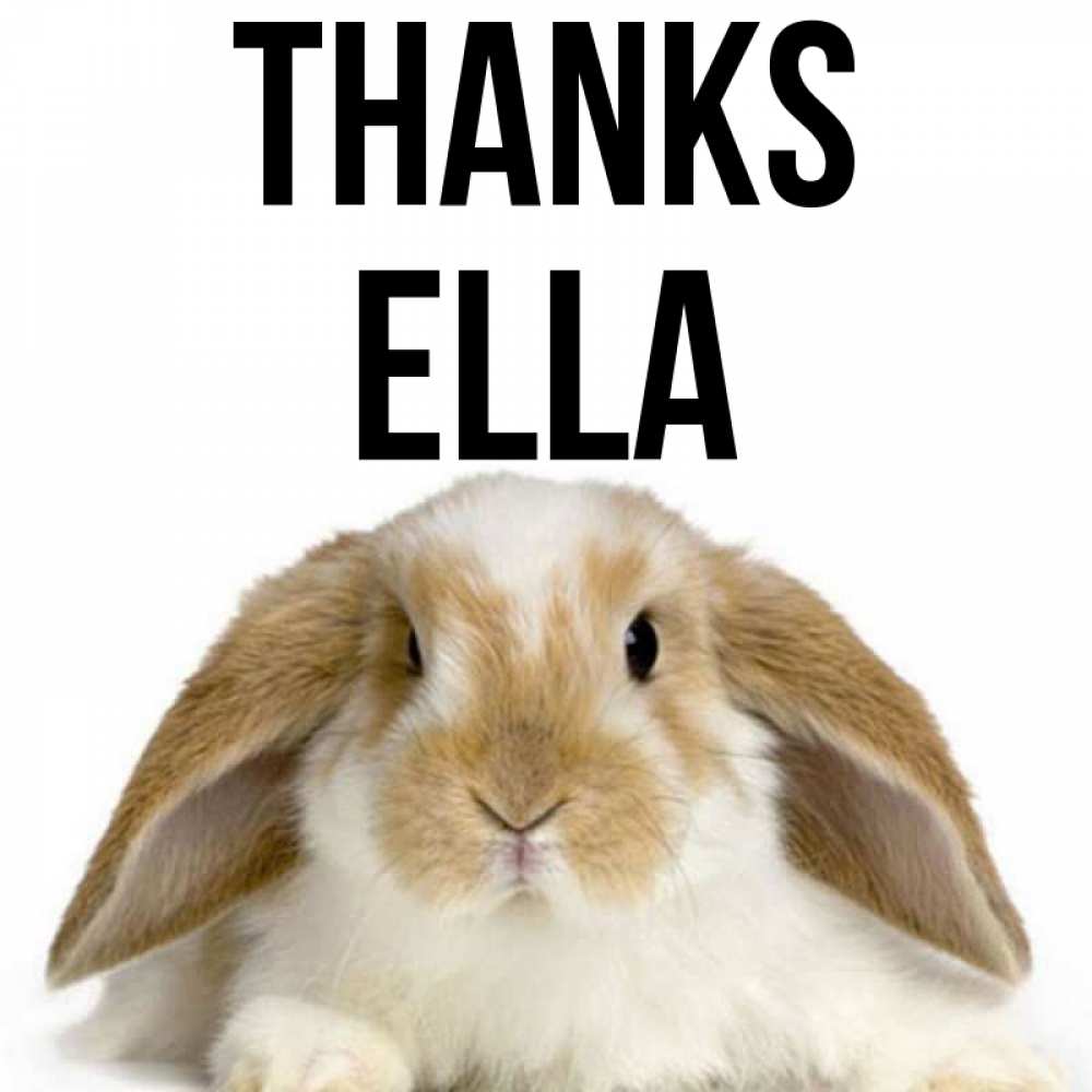 Greetings card с именем, Ella Thanks коричнево белый заяц Greetings with text for free download 