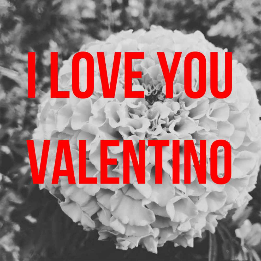 Greetings card с именем, Valentino I love you подпись Greetings with text for free download 