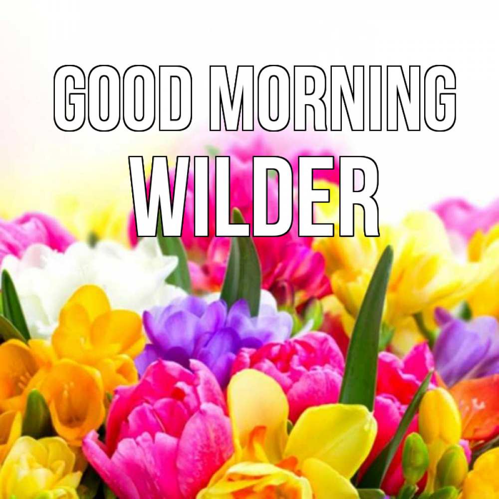Greetings card с именем, Wilder Good morning создать открытку со свое подписью Greetings with text for free download 
