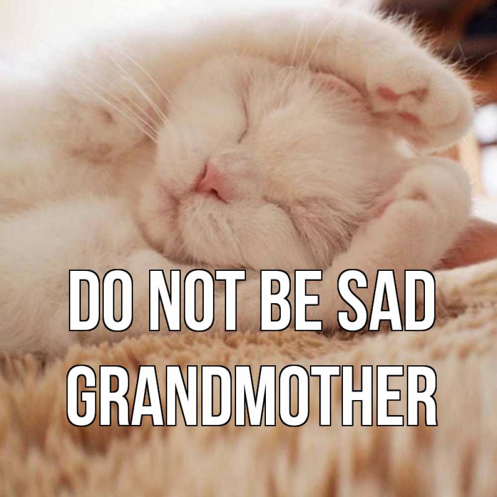 Greetings card с именем, grandmother Do not be sad белый кот Greetings with text for free download 