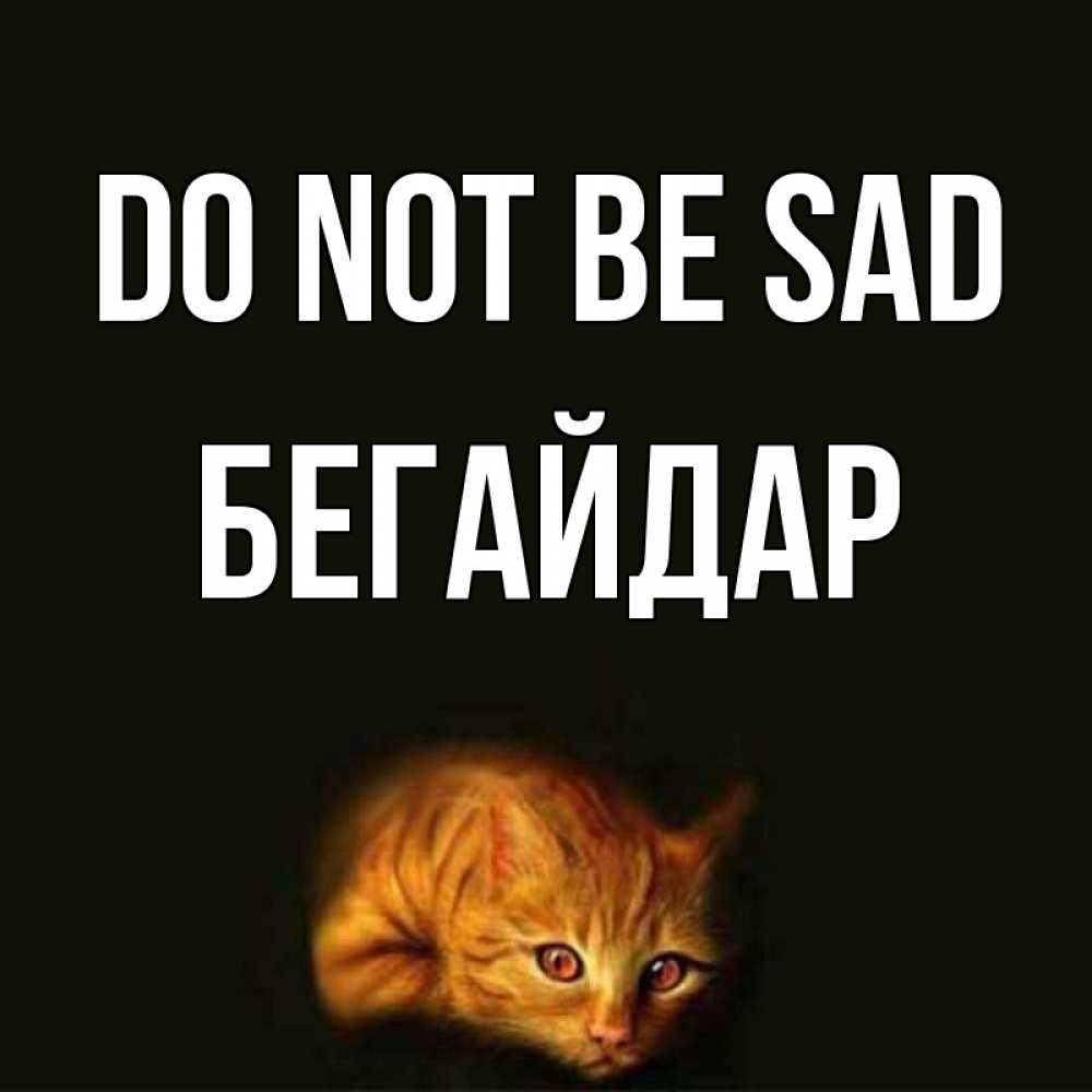 Greetings card с именем, Бегайдар Do not be sad лежащий кот в темноте Greetings with text for free download 