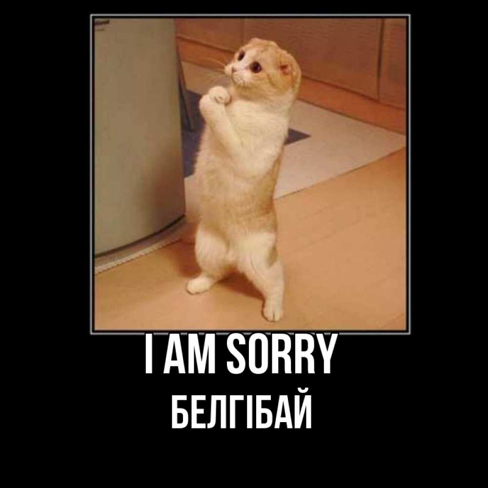 Greetings card с именем, Белгібай I am sorry открытка с милым несчастным котиком просящим прощения Greetings with text for free download 