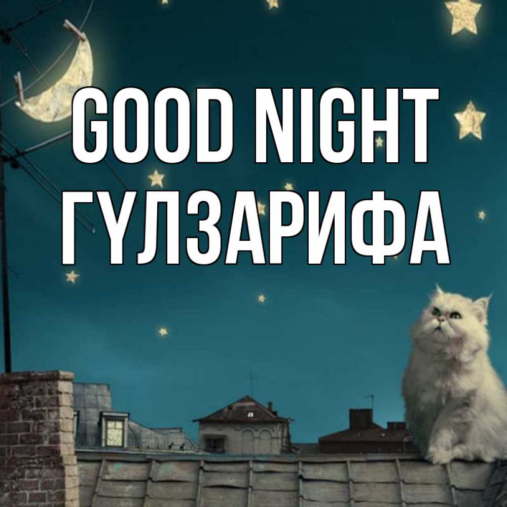 Greetings card с именем, ГҮЛЗАРИФА Good night белый кот сидит на крыше Greetings with text for free download 