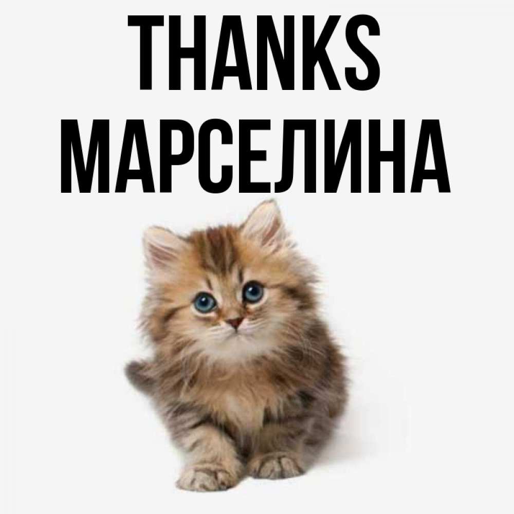 Greetings card с именем, Марселина Thanks пушистый котик Greetings with text for free download 