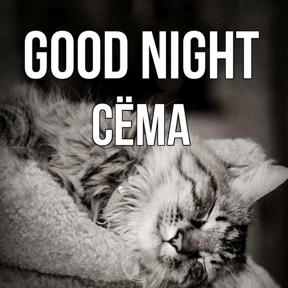 Greetings card с именем, Сёма Good night котярик пушистый Greetings with text for free download 