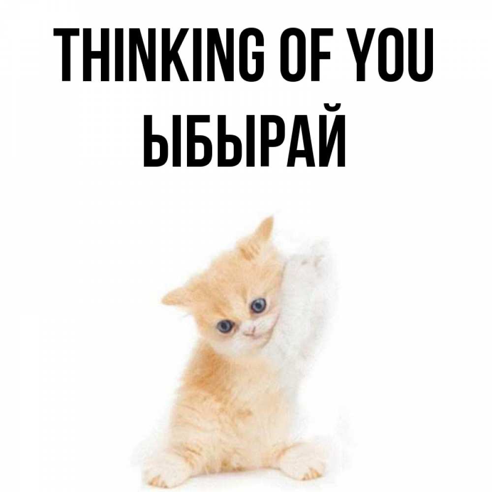 Greetings card с именем, ЫБЫРАЙ Thinking of you зверушки и милота Greetings with text for free download 