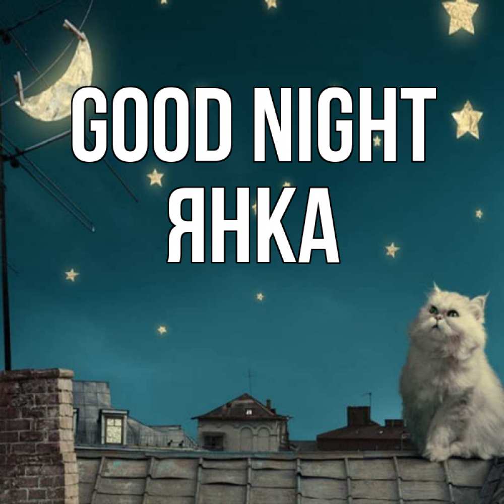 Greetings card с именем, Янка Good night белый кот сидит на крыше Greetings with text for free download 