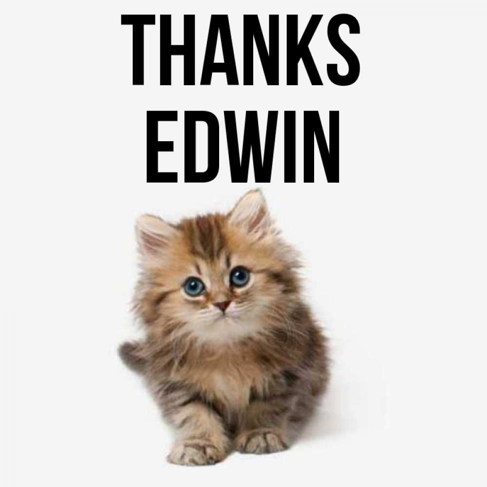 Greetings card с именем, Edwin Thanks пушистый котик Greetings with text for free download 
