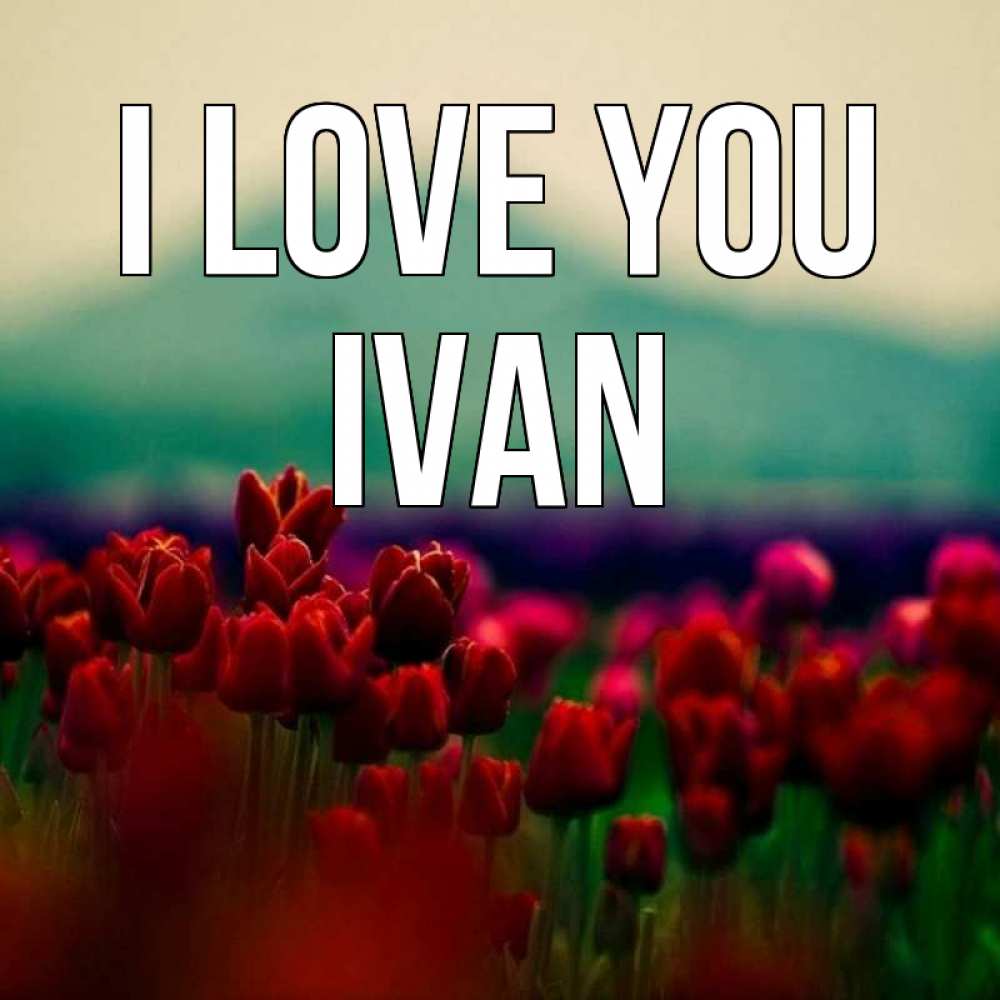 Greetings card с именем, Ivan I love you тюльпаны 4 Greetings with text for free download 