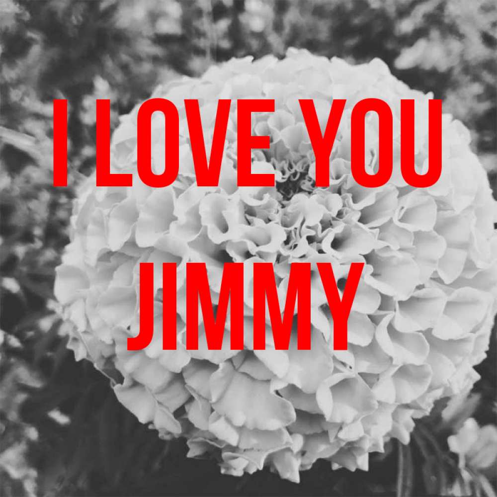 Greetings card с именем, Jimmy I love you подпись Greetings with text for free download 
