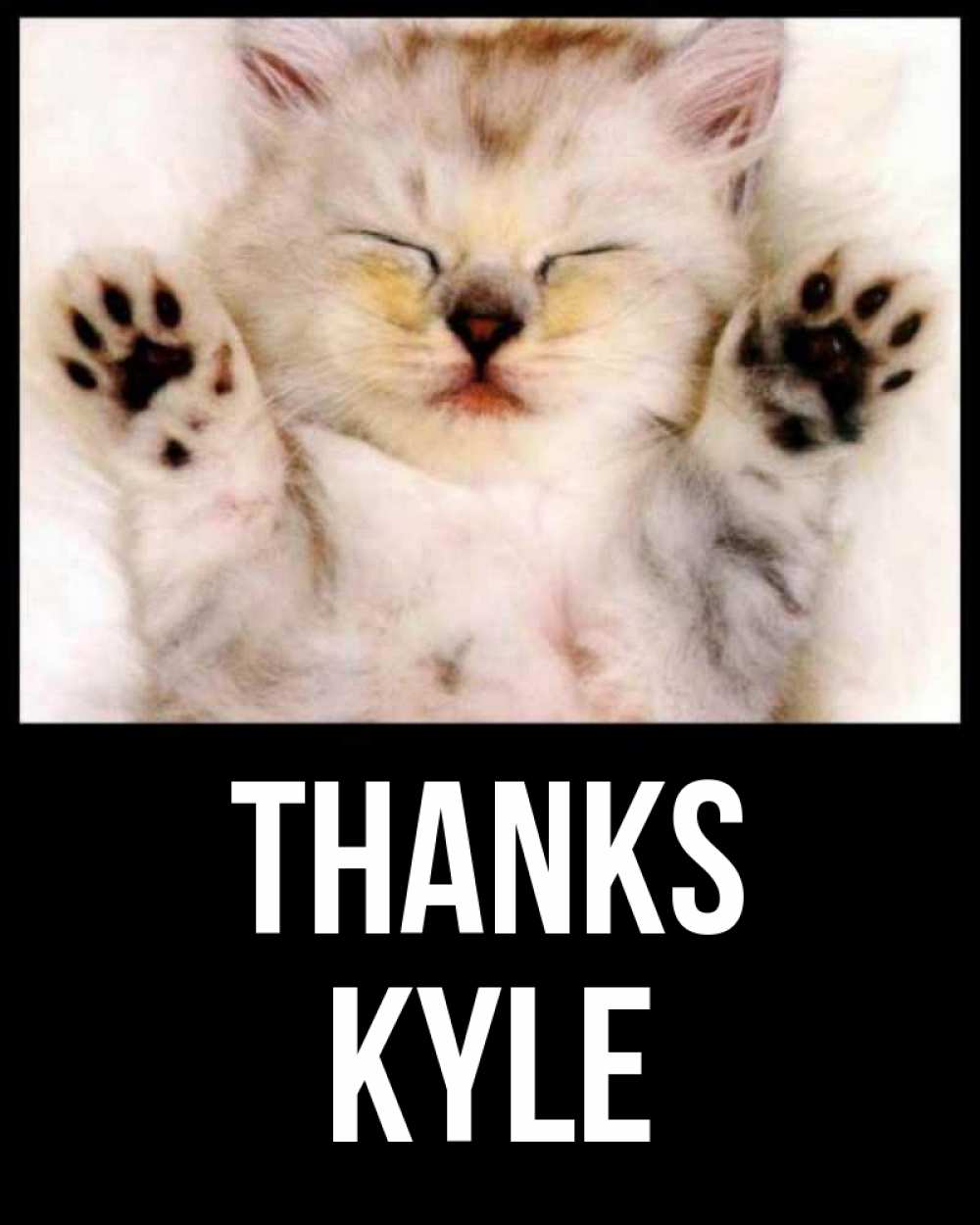 Greetings card с именем, Kyle Thanks маленький котенок Greetings with text for free download 