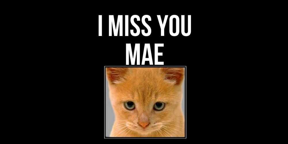 Greetings card с именем, Mae I miss you открытки рыжий котенок скучает по тебе Greetings with text for free download 